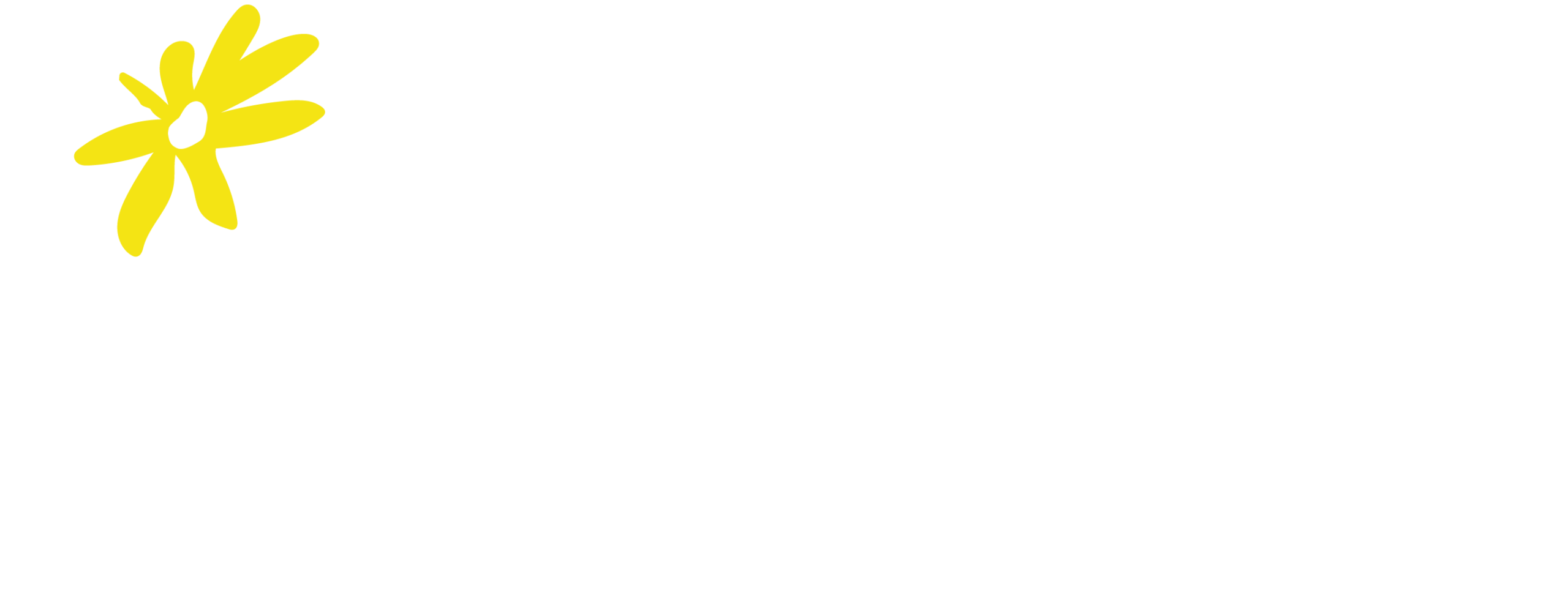 Rebranding site Wildflowers